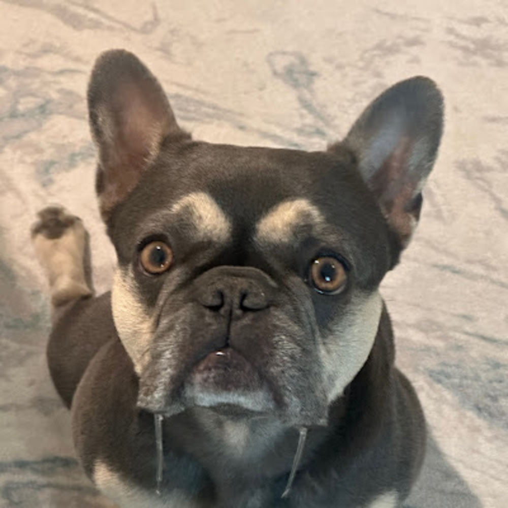 Meet your Posher, Nelson